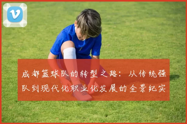 成都篮球队的转型之路：从传统强队到现代化职业化发展的全景纪实
